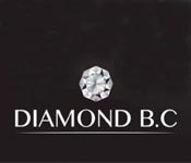 diamond_business_center