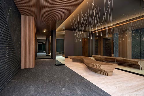 edificio tree